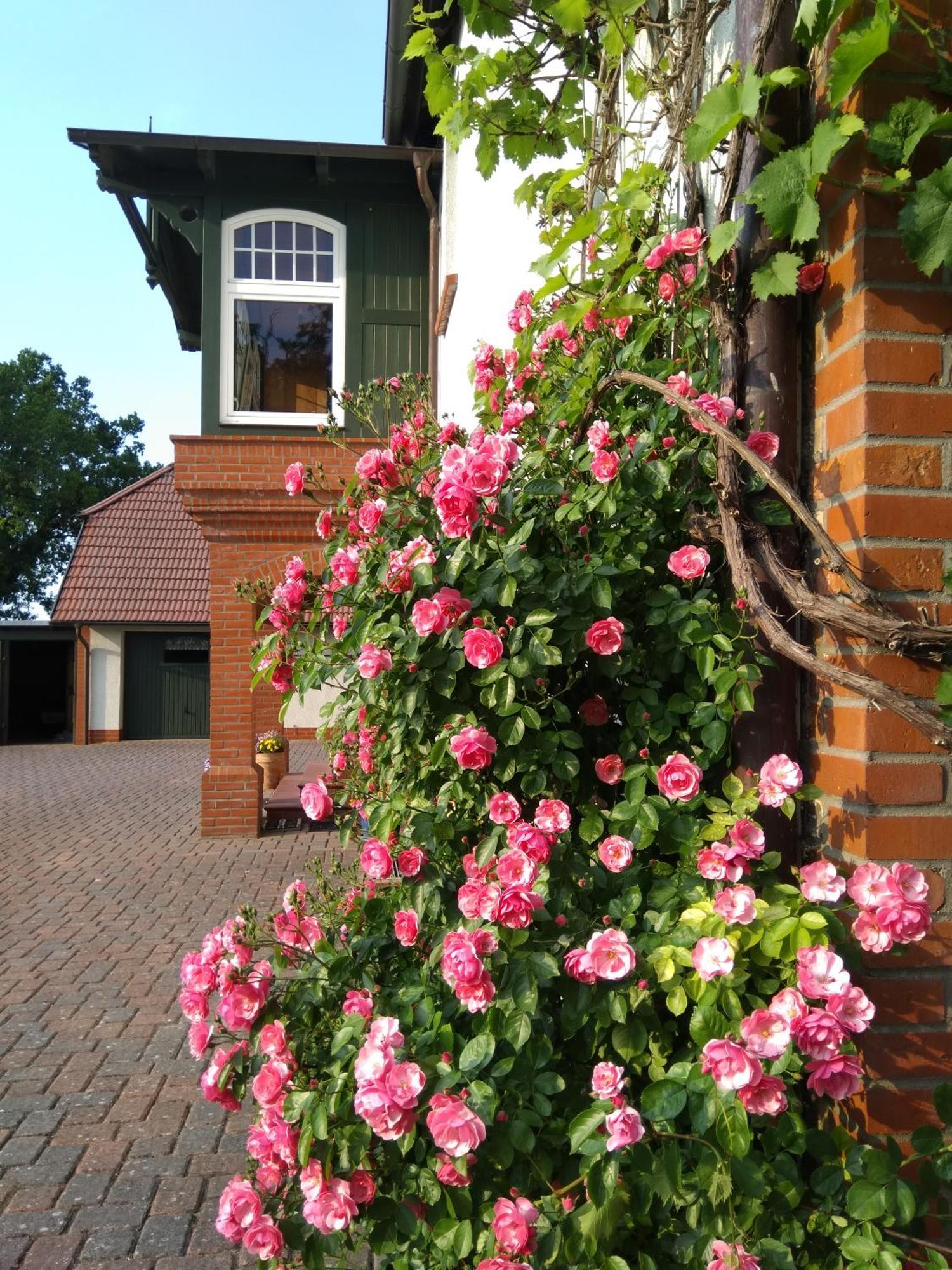 Apartamento Landtraum Im Traumland Mecklenburg Warin Exterior foto